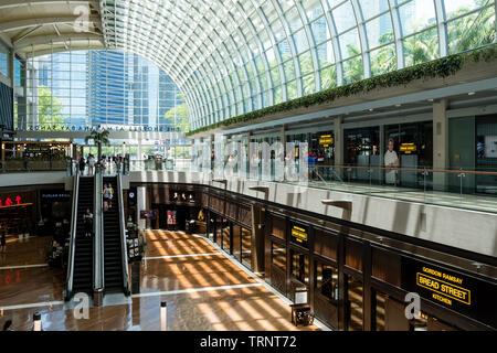 Singapore-13 APR 2019: interni di Shoppes at Marina Bay Sands. Il Shoppes at Marina Bay Sands è uno di Singapore il più grande centro commerciale LUXURY Foto Stock