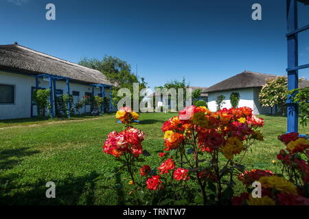 Gura Portitei, il Delta del Danubio, Romania - villaggio di pescatori, barca, riempito di fiori Foto Stock