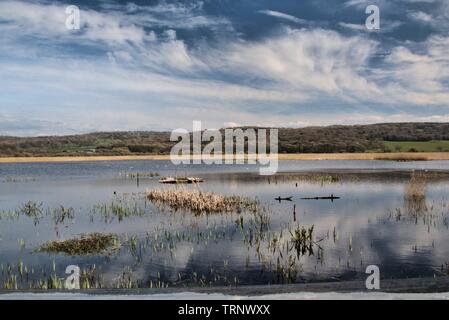 Una vista di Leighton Moss Riserva Naturale Foto Stock