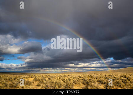Rainbow oltre il deserto sagebrush del sudest Oregon. Foto Stock
