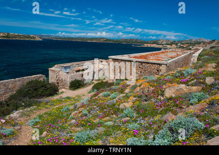 Fortezza Bastiani fortificazione Isola di Caprera Sardegna Italia Foto Stock