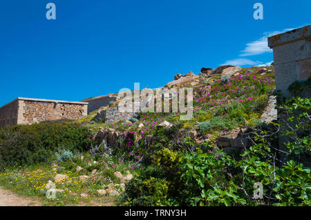 Fortezza Bastiani fortificazione Isola di Caprera Sardegna Italia Foto Stock