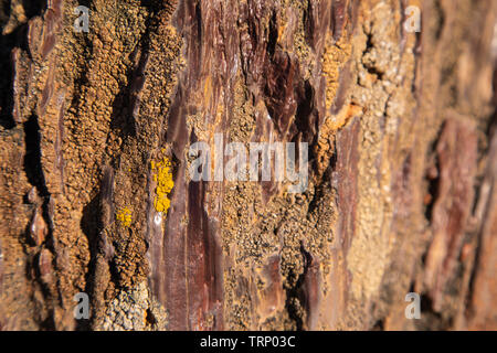 Bellissimo paesaggio a Huelva, Rio Tinto Foto Stock