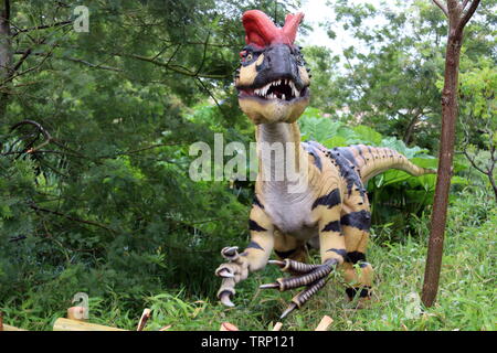 Una prima mondiale predatori per lo zoo di Chester Foto Stock