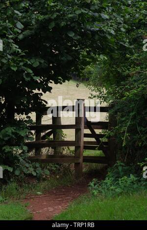 Baci di legno porta in un campo hedge. Ludwell Valley Park, Exeter, Devon, Regno Unito. Foto Stock