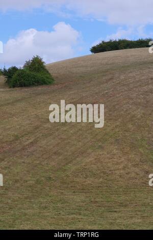 Ludwell Valley Park, estate secca dei prati. Il rotolamento paesaggio agricolo. Exeter Devon, Regno Unito. Foto Stock