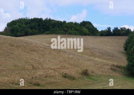 Ludwell Valley Park, estate secca dei prati. Il rotolamento paesaggio agricolo. Exeter Devon, Regno Unito. Foto Stock