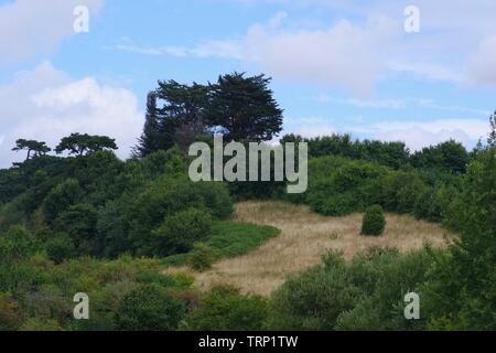 Ludwell Valley Park, estate secca dei prati. Il rotolamento paesaggio agricolo. Exeter Devon, Regno Unito. Foto Stock