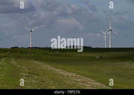 Le turbine eoliche in campi nei pressi di costa con pecore al pascolo nelle vicinanze. Frisia orientale, Bassa Sassonia, Germania. Foto Stock