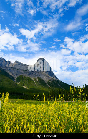 Ha Ling picco, Mount Lawrence Grassi, Canmore, Alberta, Canada Foto Stock