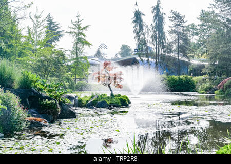 Stagno, VanDusen Botanical Garden, Vancouver, British Columbia, Canada Foto Stock