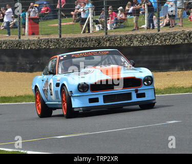 Rikki Cann, Aston Martin V8, Bernies V8s, Classic noi muscolo auto, American Speedfest VII, Brands Hatch, giugno 2019, automobili, Autosport, automobili, circuiti Foto Stock