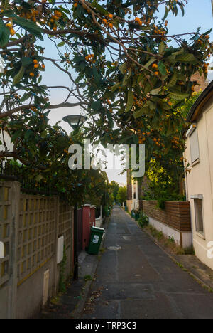 Malakoff, Francia, Parigi Periferia, Street Scene, Architettura Residenziale Foto Stock