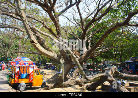 Colorato tuk tuk gelato i furgoni parcheggiati sulla spiaggia al passato turistica di Cochin (Kochi) in India per un fresco rifugio rinfrescante nel calore Foto Stock