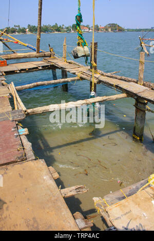 Cinese di reti da pesca non cattura i pesci in Cochin (Kochi), Kerala, India al mare Foto Stock