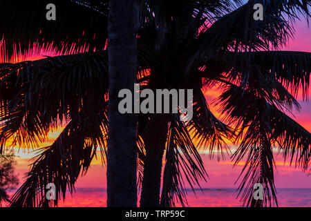 Tramonto alle Hawaii con Palm tree silhouette Foto Stock