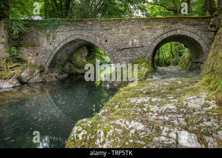 Denham ponte sopra il fiume Tavy è popolare con brivido che salto in piscina profonda al di sotto del quale è riportato essere quarantasette piedi profondo. Il Foto Stock