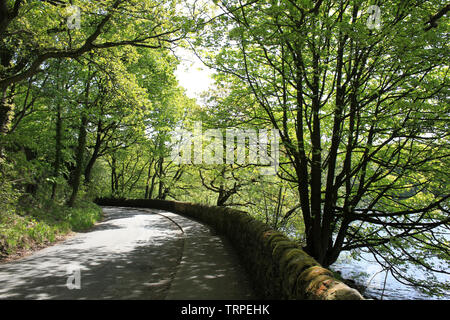 Strada alberata accanto al serbatoio Anglezarke, Lancashire, Regno Unito Foto Stock