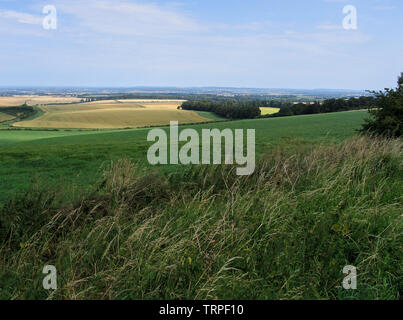 Guardando a Nord verso Wantage attraverso il downs dal B4494 con colture di cereali, ruvida pascolo e una vista delle Lockinge punto a punto corso Foto Stock