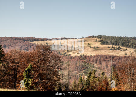 Hala na Malej Raczy prato di montagna con la Mala Racza collina coperta dalla foresta colorati da Hala Srubita in autunno Beskid Zywiecki montagne in Polonia ne Foto Stock