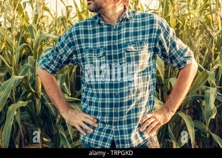 L'agricoltore è pronto per entrare in azione, posa con le mani sui fianchi in cornfield coltivati Foto Stock