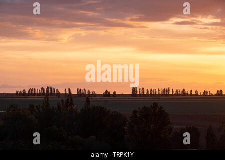 Tramonto in Castilla, Castilla y Leon, Spagna, alberi e belle nuvole con luce arancione Foto Stock