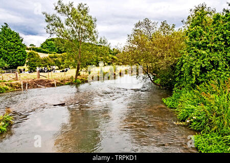 Scena pastorale presso il fiume windrush a Swinbrook (Oxfordshire), idyllische Szene am Flusse Windrush nahe Swinbrook Foto Stock