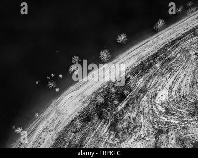 Una antenna di alberi immersi nell'acqua della diga Googong, NSW Foto Stock