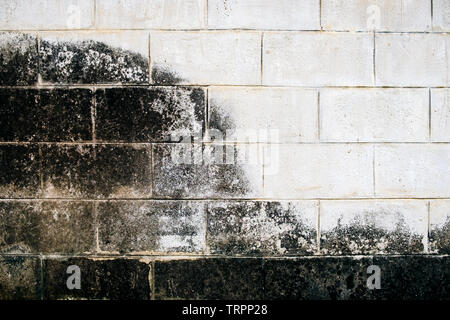 Muro di mattoni di colore bianco sporco lichen stain edicola Foto Stock