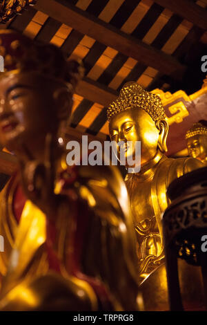 Golden statua del Buddha a Tu Lien Pagoda in Hanoi, Vietnam Foto Stock