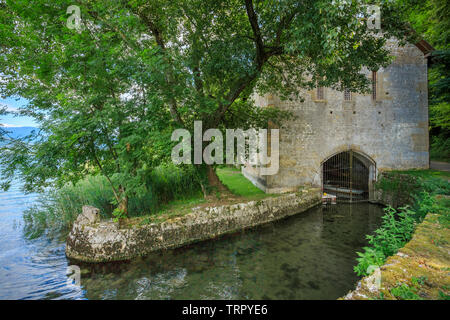 Francia, Savoie, Saint Pierre de Curtille, Abbazia di Hautecombe, barca fienile sul bordo del Lac du Bourget (Lago di Bourget) // Francia, Savoie (73), Sain Foto Stock