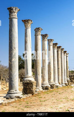 Le antiche rovine di Salamina - Cipro Foto Stock