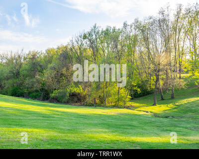 Erba verde campo con area boschiva da un torrente in Illinois negli Stati Uniti. Foto Stock