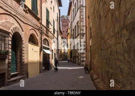 Una stretta strada del centro storico di Lucca, Toscana, con la struttura medioevale sormontata Torre Guinigi in background Foto Stock