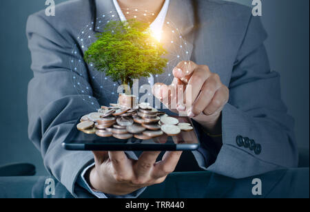 Lato albero di monete l'albero cresce sulla pila. Risparmio di denaro per il futuro. Le idee di investimento e crescita aziendale con sfondo bokeh sun Foto Stock