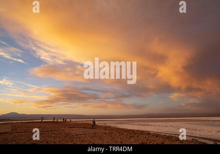 Laguna Tebinquinche, Salar de Atacama in Cile Foto Stock