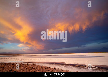 Laguna Tebinquinche, Salar de Atacama in Cile Foto Stock