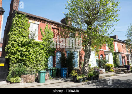 La rigenerazione,d,poveri,alloggiamento,stock,richiesto,street,a,Liverpool 8,Toxteth,Liverpool, Merseyside,Nord,città,l'Inghilterra,UK,GB,Gran Bretagna,l'Europa, Foto Stock