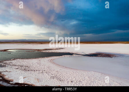 Laguna Tebinquinche, Salar de Atacama in Cile Foto Stock