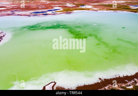 Laguna Tebinquinche, Salar de Atacama in Cile Foto Stock