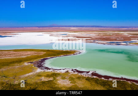 Laguna Tebinquinche, Salar de Atacama in Cile Foto Stock