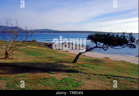 Stintino, Sardegna, Italia. Spiaggia della Pelosa in inverno (scansionato da Fujichrome Velvia) Foto Stock