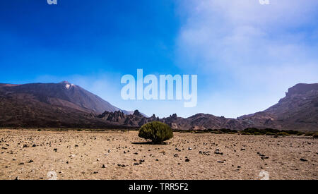 Bellissima vista panoramica paesaggio del Parco Nazionale del Teide Tenerife Isole Canarie Spagna Foto Stock