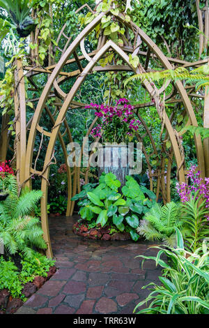 Bella arch presso il National Orchid Garden, Singapore Botanic Gardens, Singapore, Asia Foto Stock