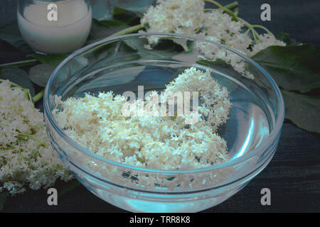 Fiori bianchi e foglie di sambuco giacciono su una ciotola su un rustico sfondo di legno. I fiori di Sambucus specie sono utilizzati per produrre lâ Elderflower co Foto Stock