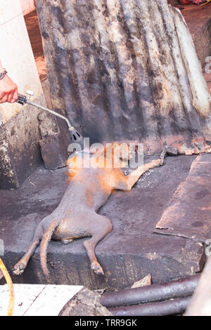 Tomohon, Indonesia - Agosto 12, 2017: cucinare un cane a Tomohon mercato estreme Foto Stock