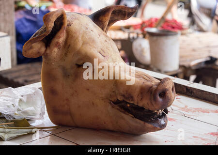 Tomohon, Indonesia - Agosto 12, 2017: testina di maiale a Tomohon mercato estreme Foto Stock