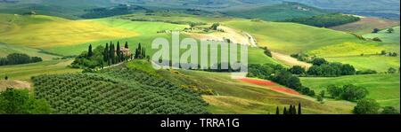 Pienza, Toscana - Giugno 2019: bellissimo paesaggio della Toscana in Italia, Podere Belvedere in Val d Orcia vicino a Pienza con cipressi Foto Stock