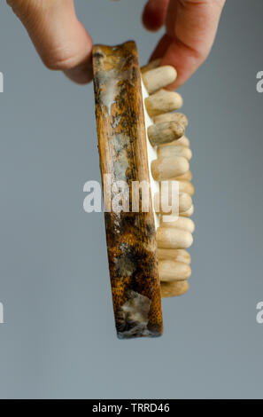 Disgustoso il fungo della donna in legno spazzola per massaggi. Close up. Per la pulizia della casa del concetto. Foto Stock