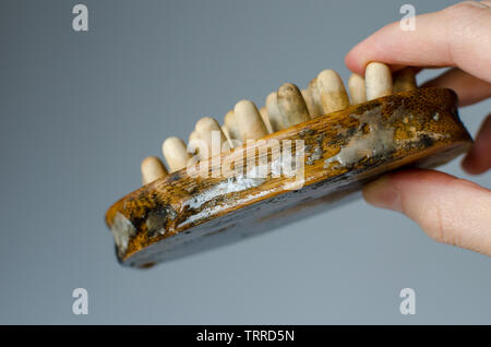 Disgustoso il fungo della donna in legno spazzola per massaggi. Close up. Per la pulizia della casa del concetto. Foto Stock